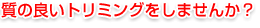 質の良いトリミングをしませんか?